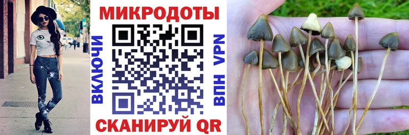 Псилоцибиновые грибы Psilocybine cubensis  Новочеркасск 